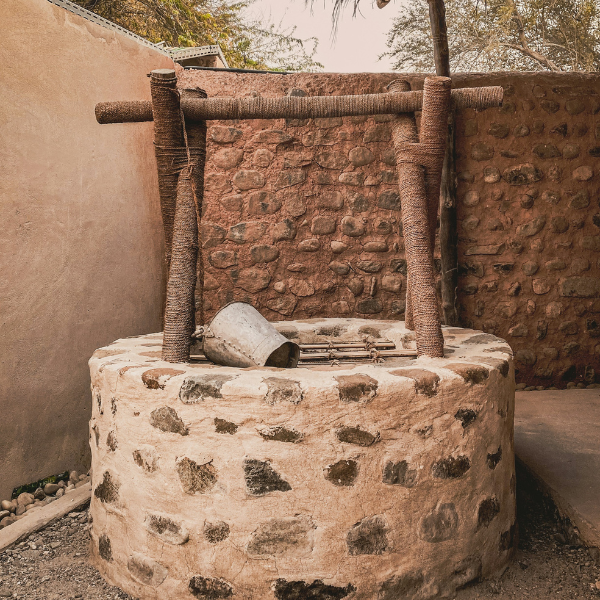 Water Well Project